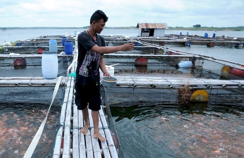 Surakarta Daily | Titimangsa Peningkatan Daya Saing UMKM Pertanian dan Perikanan